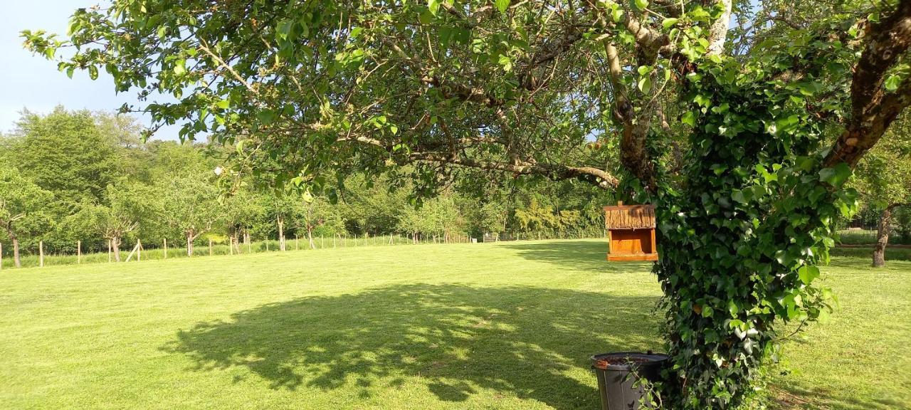 Gites Le Clos Du Verger Maurens  Eksteriør billede